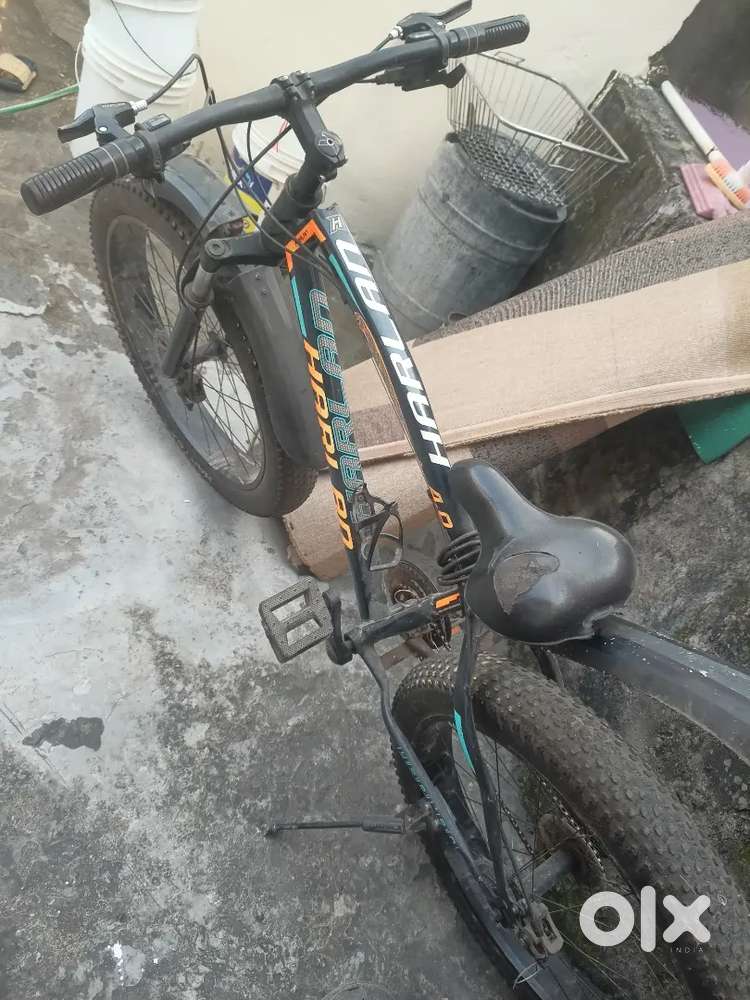 Menebbioe leli isliye cycle bech rha hu