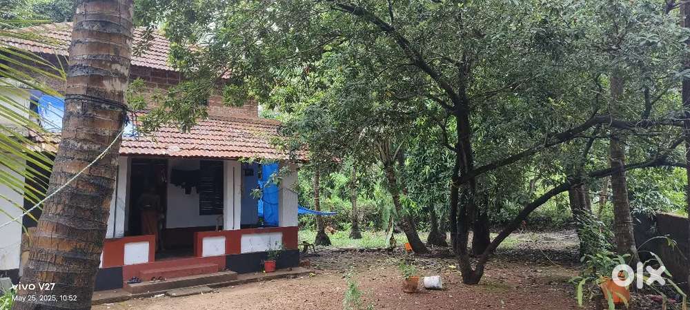 20 സെൻറ് സ്ഥാലം