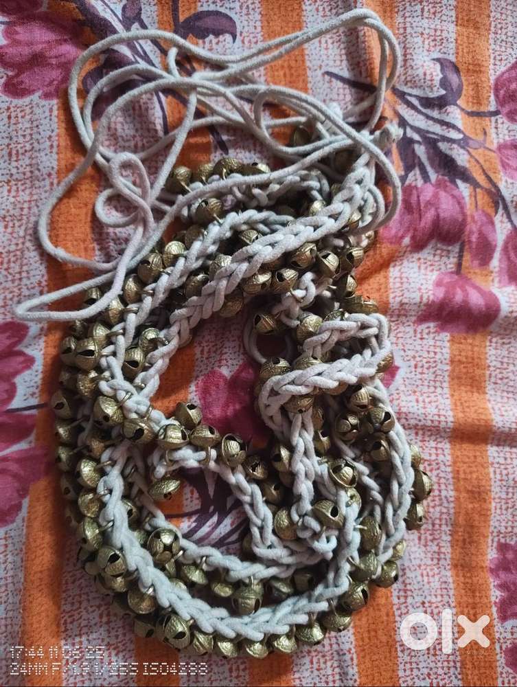 GHUNGROO ( 6 months age)