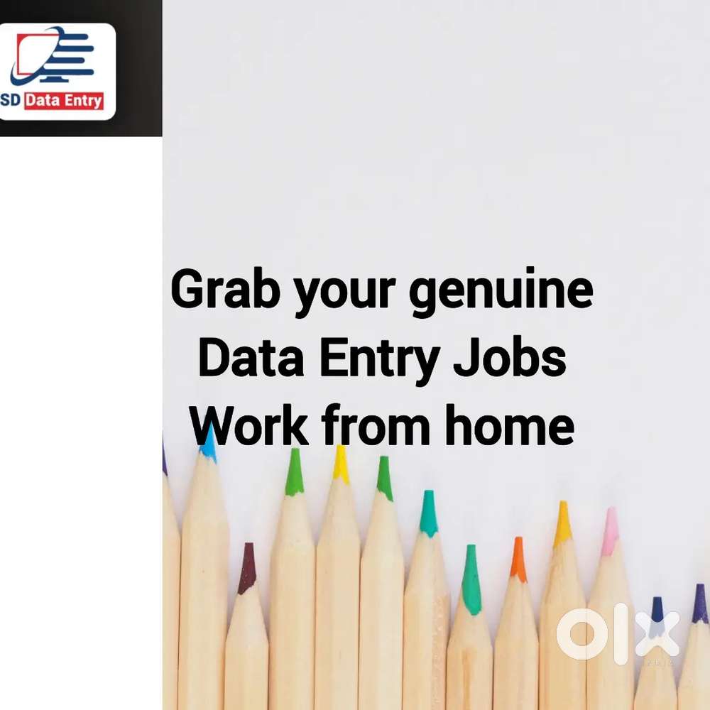 Acquire the Great opportunity for Data Entry