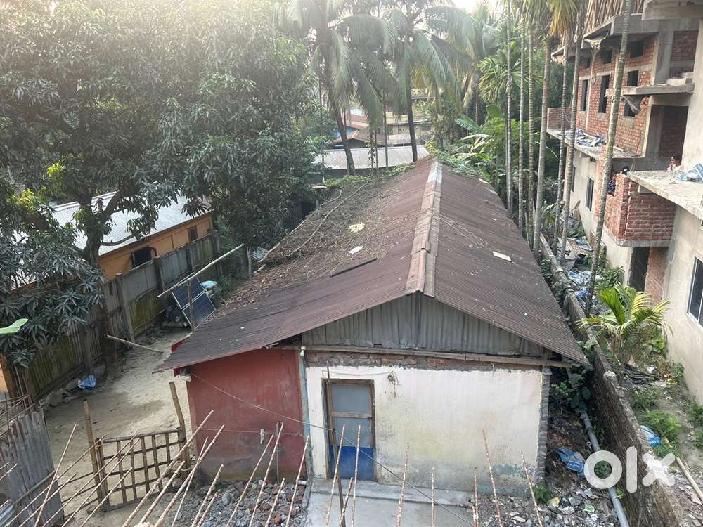 20 lesha in main town area