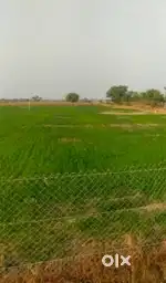 केबल नगर में जनरल की जमीन 5 बीघा