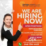 Sales Executive, Sales Manager, Team Head