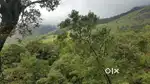45 CENT LAND WITH A HOUSE FOR SALE WITH SUPER VIEW @WAYA