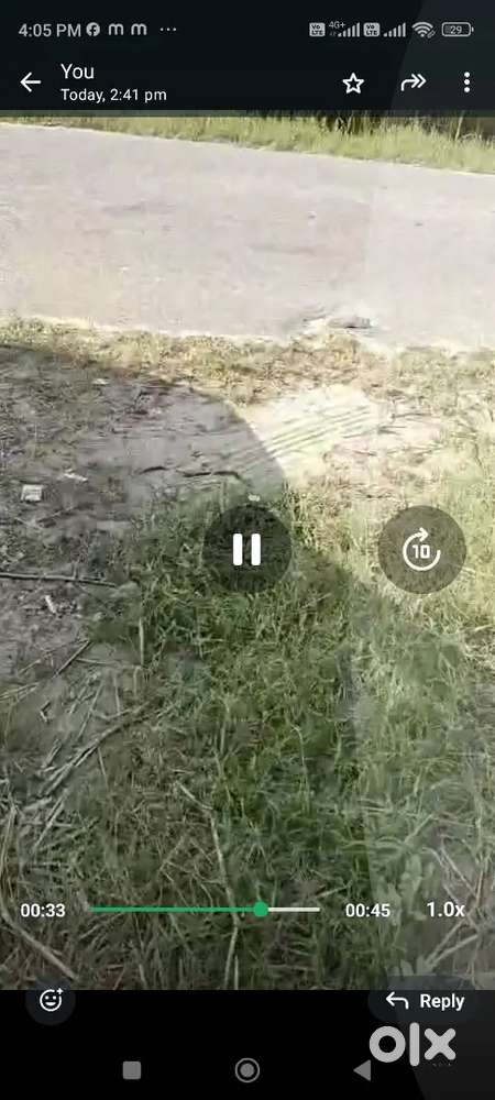 Commercial site SCO for Sale in Grain Market Kalka