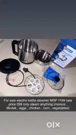 Electric kettle steamer
