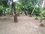 18 cent land for sale