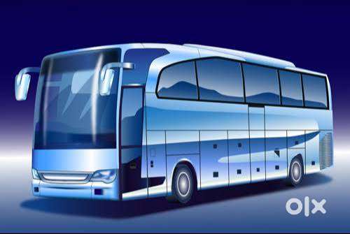 BUS CAPTAIN JOB  ( ANY DEGREE)