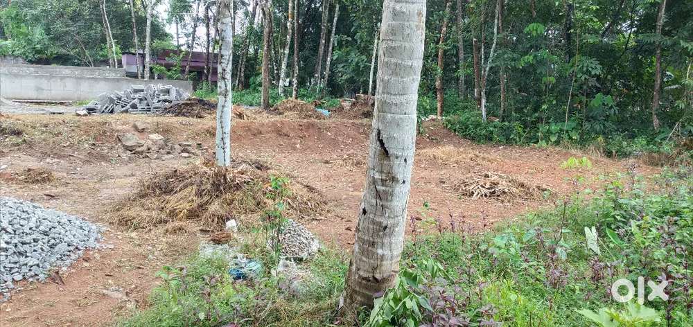 8 cents residential plot for sale in velavoor, near NH bypass
8 cent
