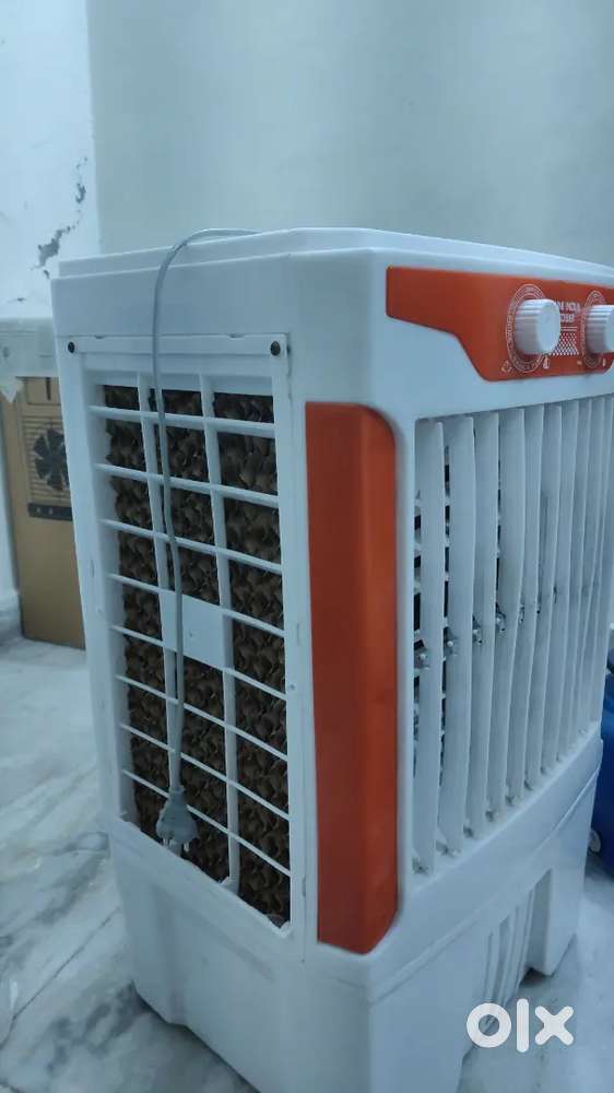 Electric cooler