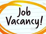 Female Office Assistant / Receptionist for IT company