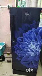 Haier 190 Ltr 5 Star  Refrigerator