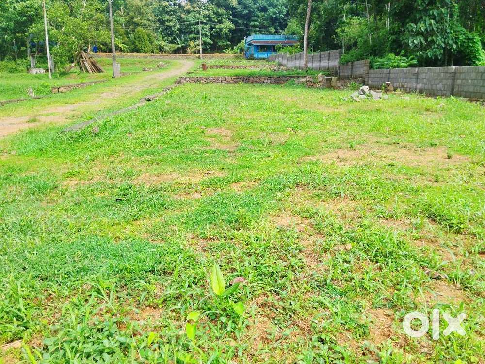 Residential plots available for sale in Thiruvaniyoor, Ernakulam