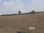 I m selling my land 5 bigha