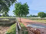 Plot hi plot shandar location par for sale