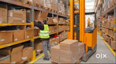 immediate hiring for Picker or Packer in Panchkula