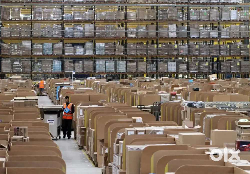 Urgent hiring freshers and experience candidates