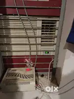Ac blue star 6 yr old