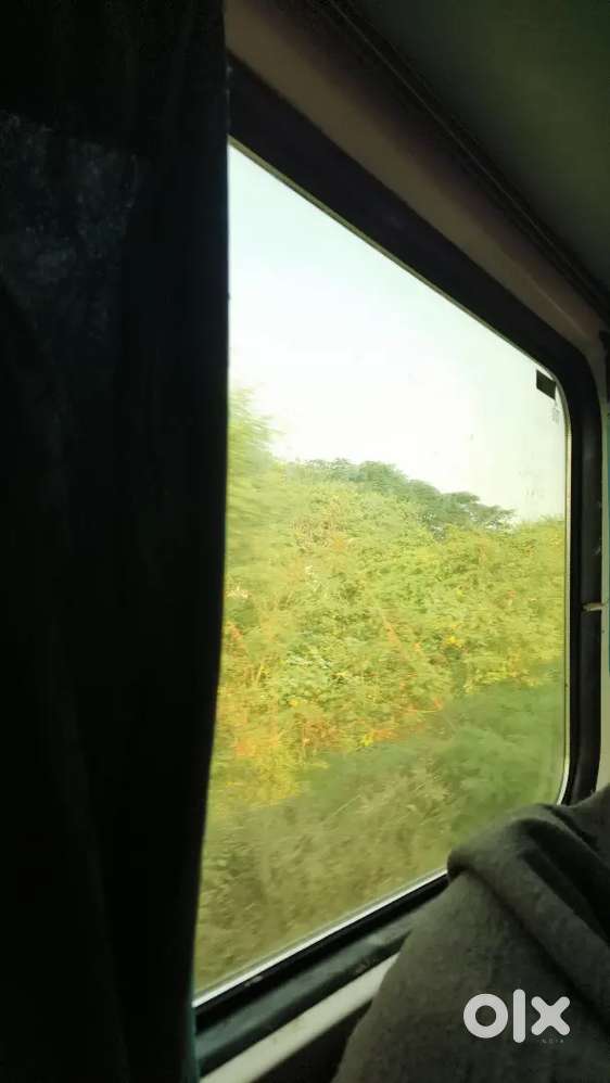 Old dd near shankracharya college only for girl