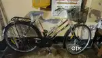 New Bicycle