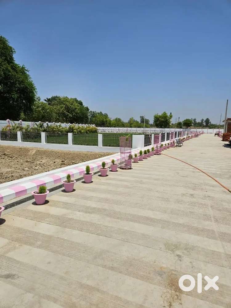 Plots in banthra