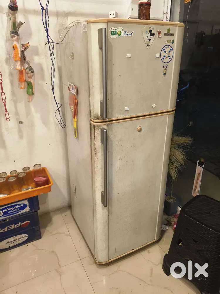 Double door fridge