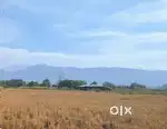 Land for sale at Khehokhu village