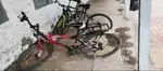 Brezza cycle