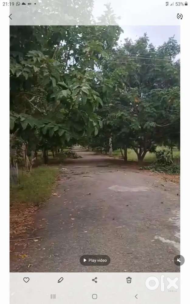 FRUITS AGRICULTURAL LAND FOR SALE