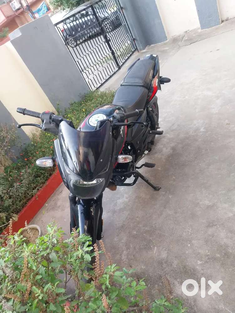 Brand new well maintained pulsar125 split digital