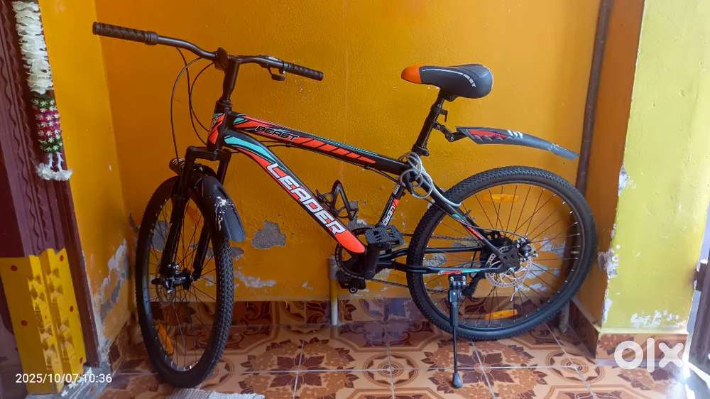 Beast 7 speed single gear