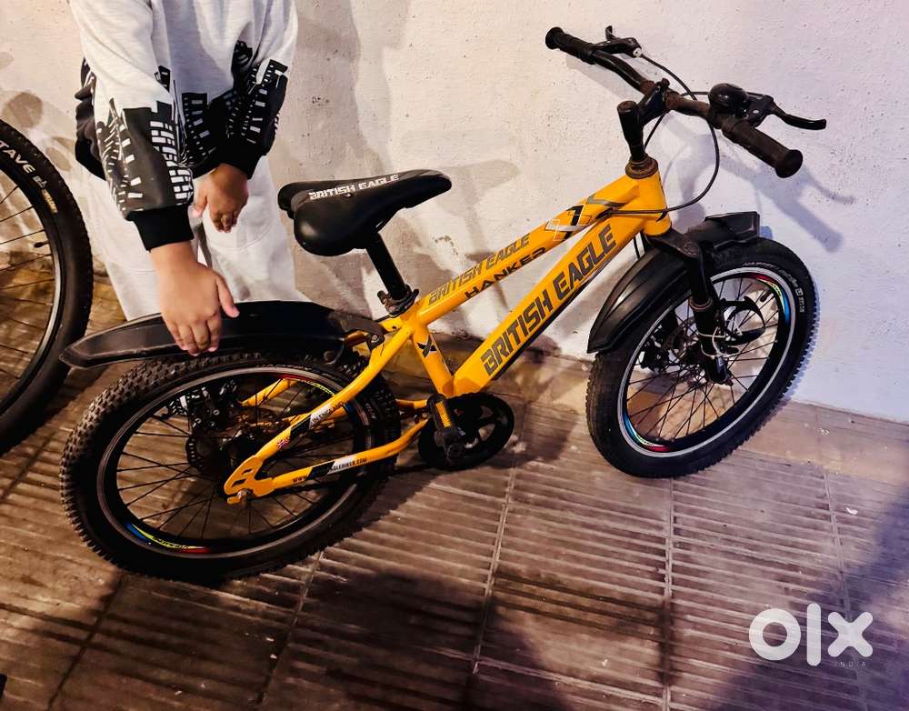 British eagle cycle 20 inches