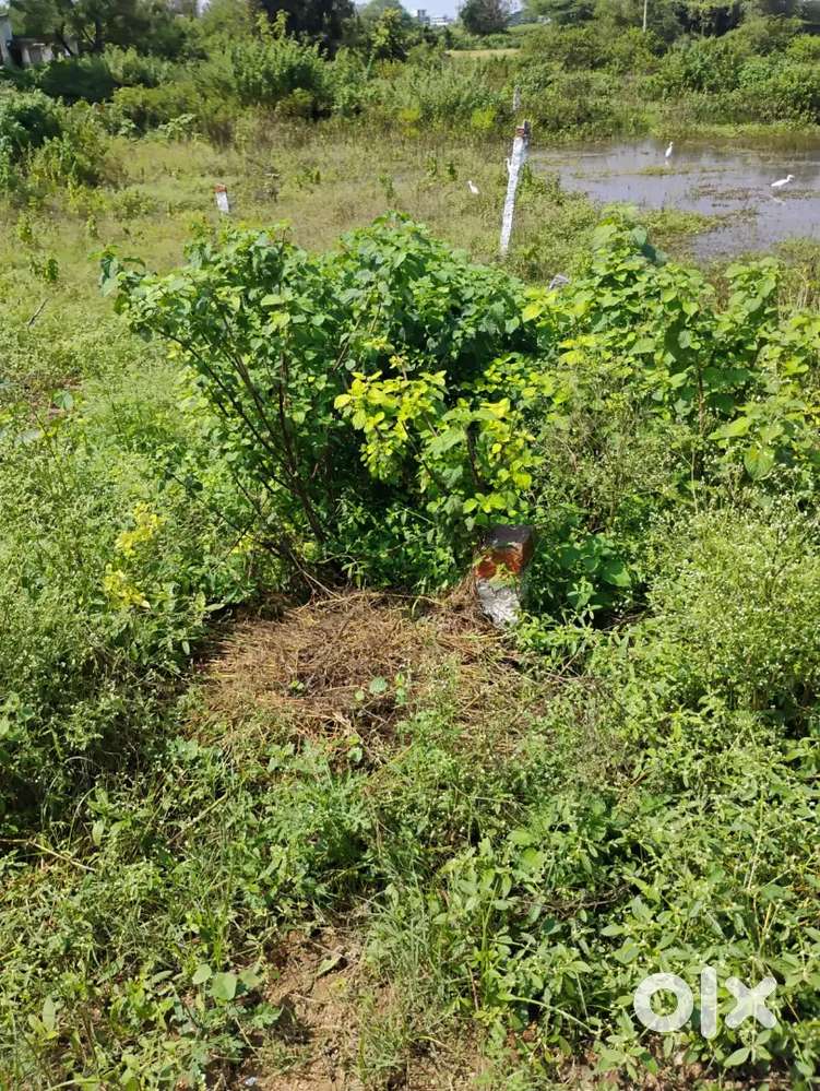 Land provided by state government in the scheme of nava rathnalu