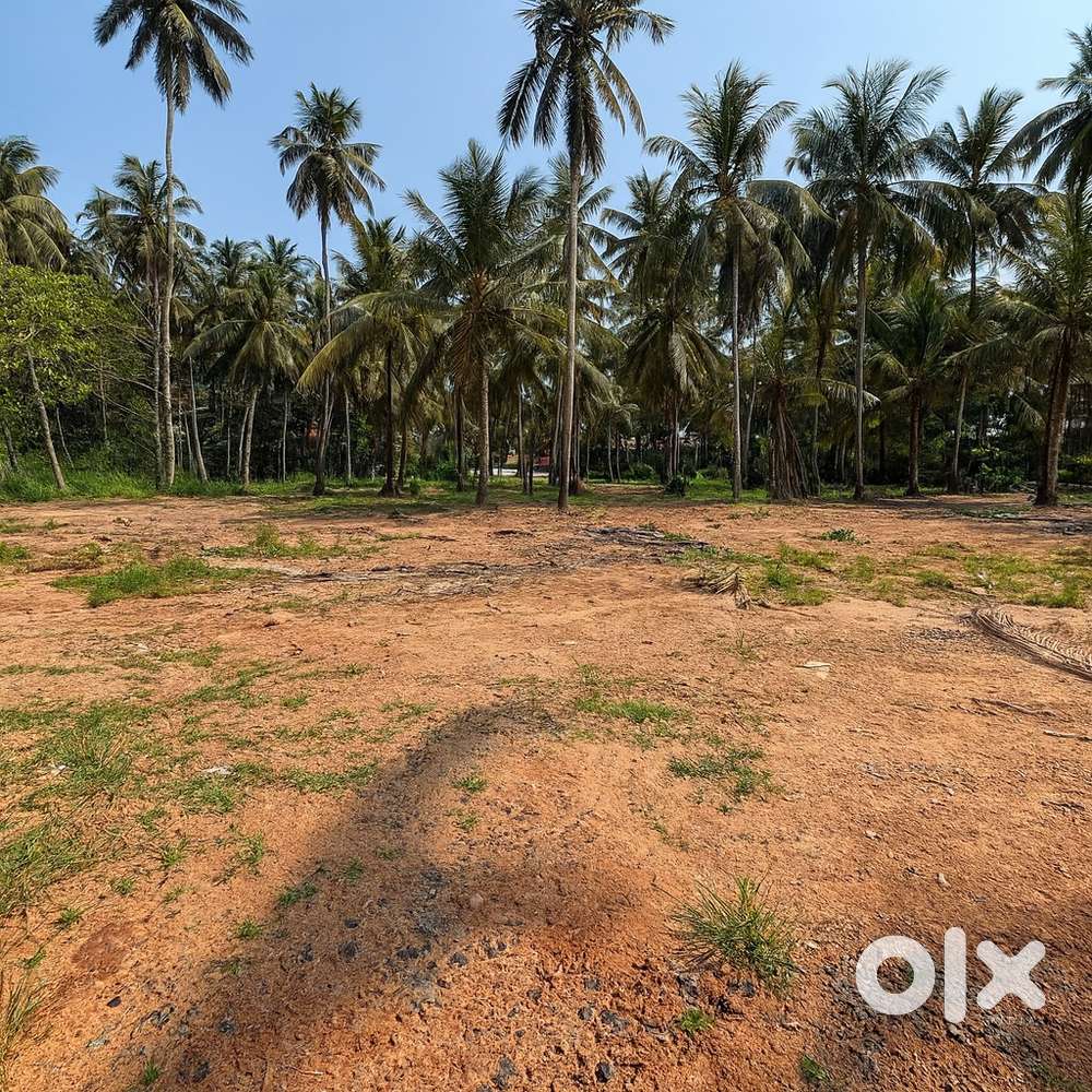 143 cent residential plot near NH-47, Korapuzha, Calicut