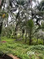 Plot for sale urgent