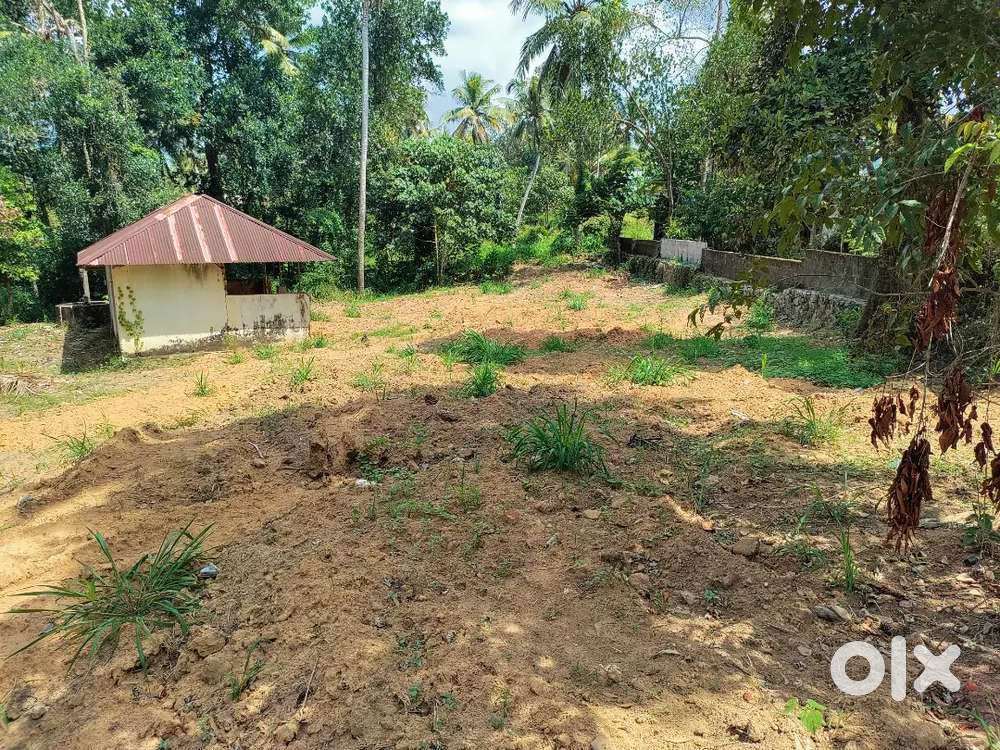 13 cents of land at Pallipuram direct Road access to NH.