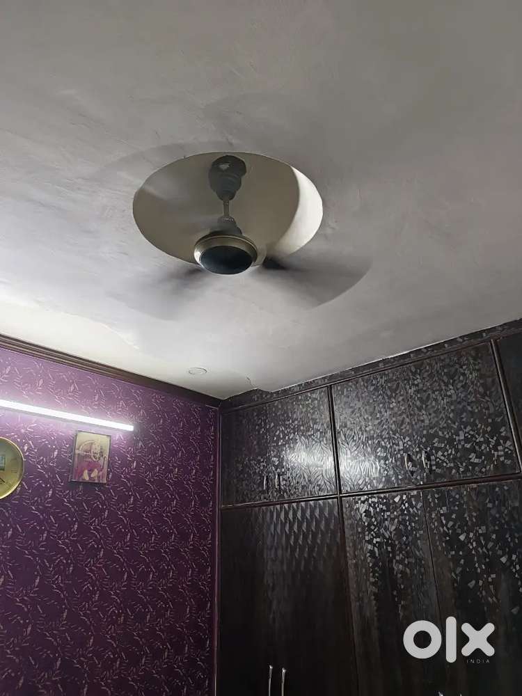 Ceiling Fan