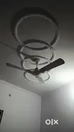 A room without kitchen