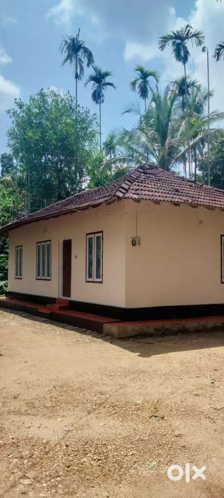40 cent plot and house