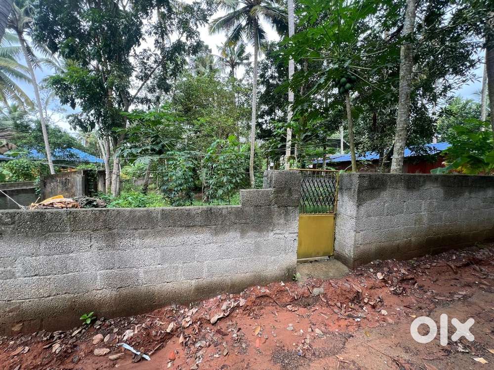 9 cents plot for sale in Vizhinjam, Just 3 kms From Vizhinjam Harbour