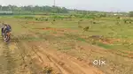 APNA ESTATE