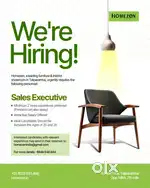 Furniture Retail Store
