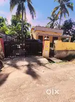 8,1/2 cent house Ammadam Trissur