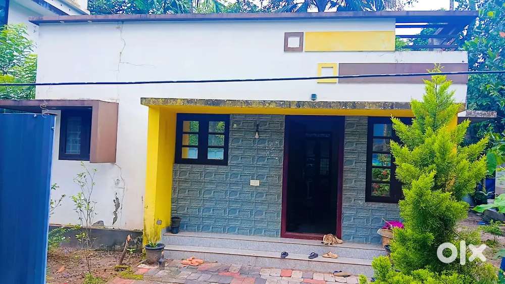 ചേർത്തല അയ്യപ്പഞ്ചേരി അമ്പലത്തിനു കിഴക്ക് വശം 2 bhk 24 ലക്ഷം