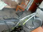 Willi cycle