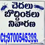 Quality pest control service