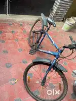 Hercules 24in cycle