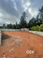 തിരുമല കുന്നപ്പുഴ ജംഗ്ഷനു സമീപം