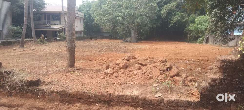 25cent plot for sale near Aluva UC College NH 300 meeter
