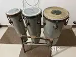 Congo for sale